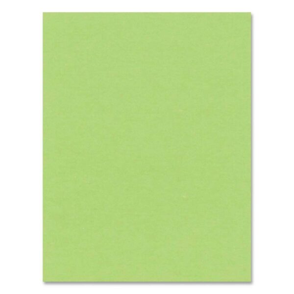 20224 BRISTOL BOARD 4PLY 22X28" GREEN