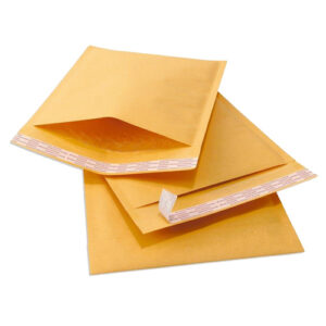 6x9 padded envelope