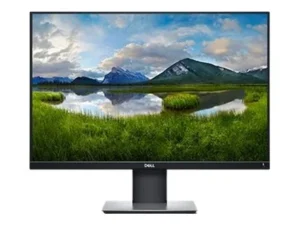 DELL P2421D - LED Monitor