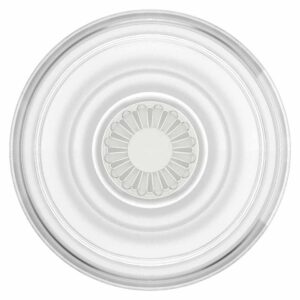 PopGrip Clear White